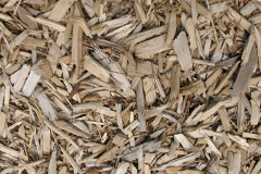 biomass boilers Llanfigael
